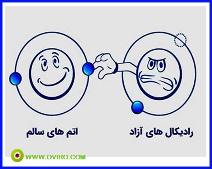 آنتی اکسیدان