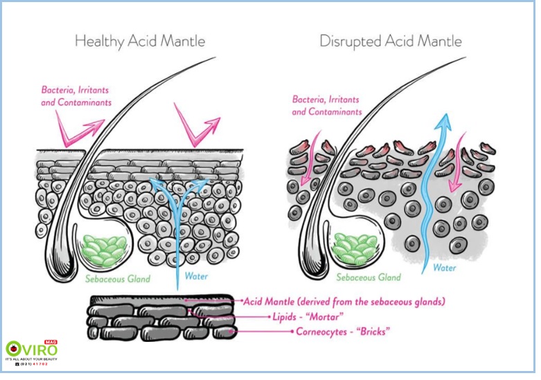 healthy acid mantle