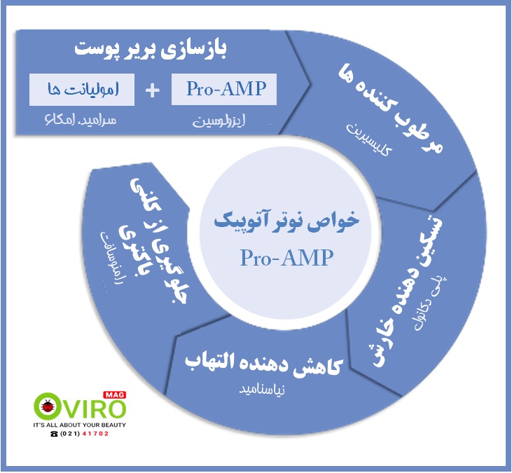 (تصویر 2 - تاثیرات نوترآتوپیک Pro-AMP در درمان درماتیت آتوپیک)