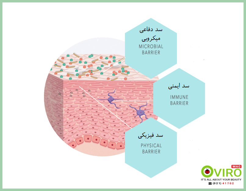 کاهش چربی پوست