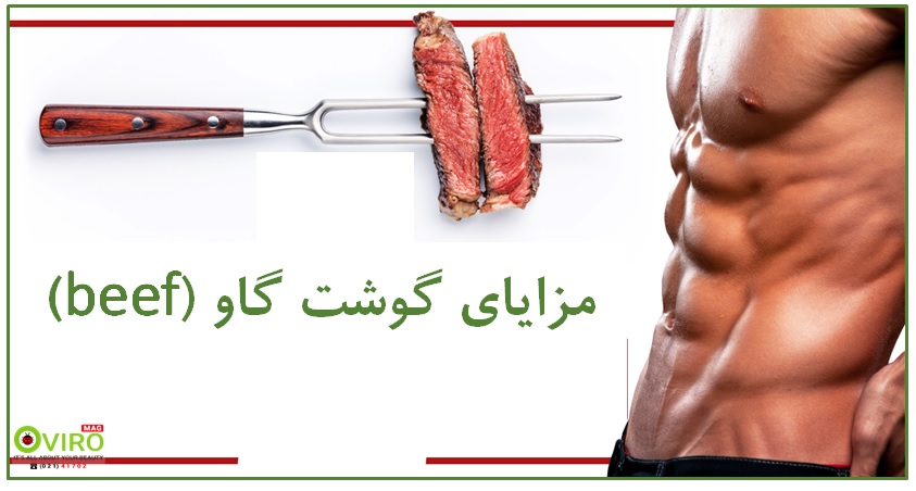 تاثیرات گوشت گاو روی عملکرد ورزشکاران | معرفی مکمل های حاوی beef