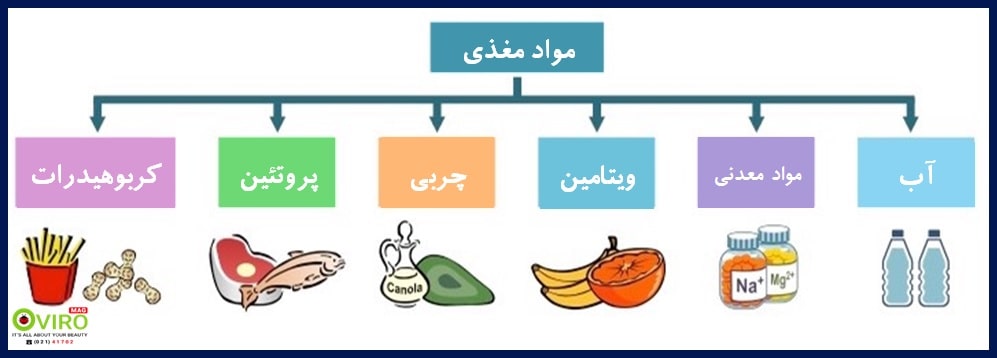 معرفی 6 ماده مغذی حیاتی برای بدن | آیا مصرف مکمل برای همه ضروری است | اویرومگ