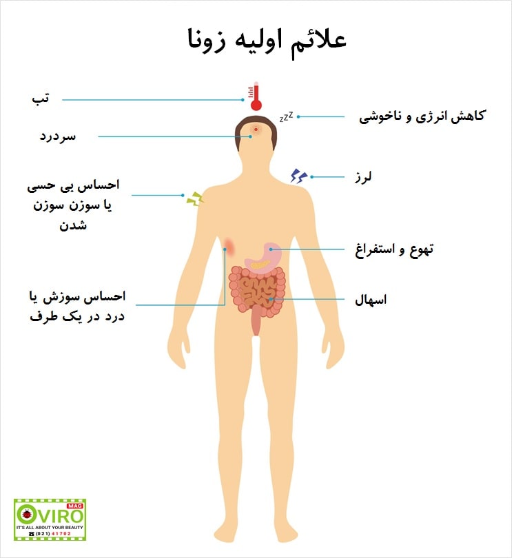 بیماری زونا: علائم و درمان | بیماری ویروسی | ویروس واریسلا زوستر | آبله مرغان