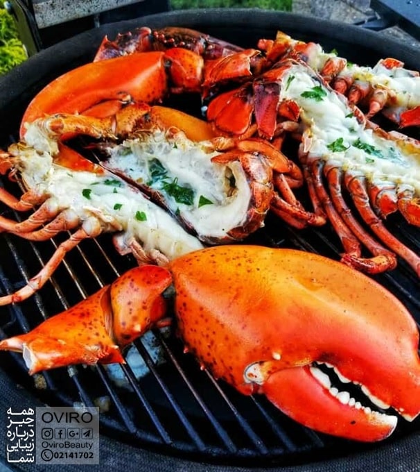 آیا لابستر غذای سالم است؟ فواید و مضرات - اطلاعات تغذیه ای | کلسترول lobster