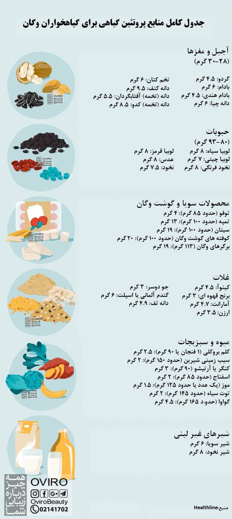 منابع پروتئین برای گیاهخواران وگان | محصولات پروتئین گیاهی | پروتئین گیاهی در جدول