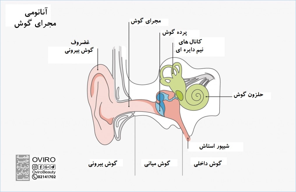 بیماریهای مجرای گوش | تنگی و بسته شدن مجرای گوش | راه های مراقبت از گوش